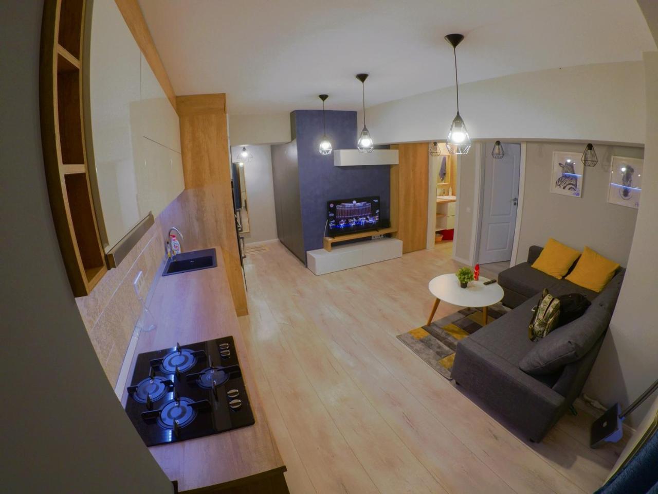 布加勒斯特Zebra'S House公寓 外观 照片